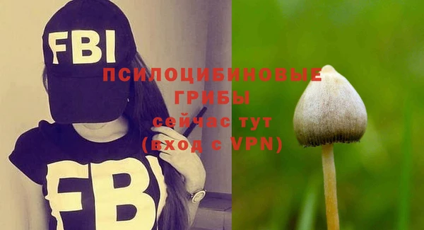 мескалин Осташков