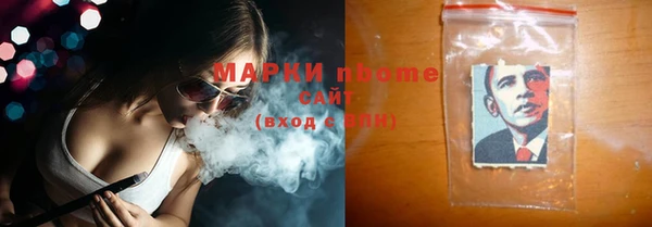 индика Пересвет