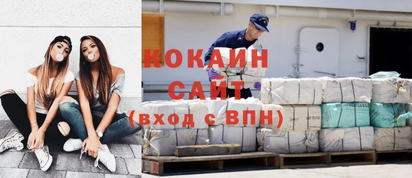индика Пересвет
