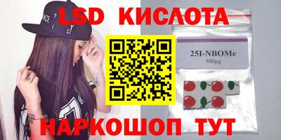 спайс Берёзовский