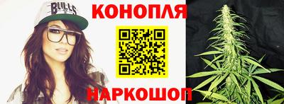 крисы Беслан