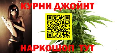 сатива Бийск