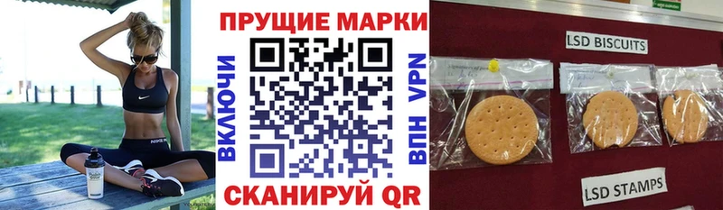 ссылка на мегу вход  как найти закладки  Грязи  Марки NBOMe 1500мкг 