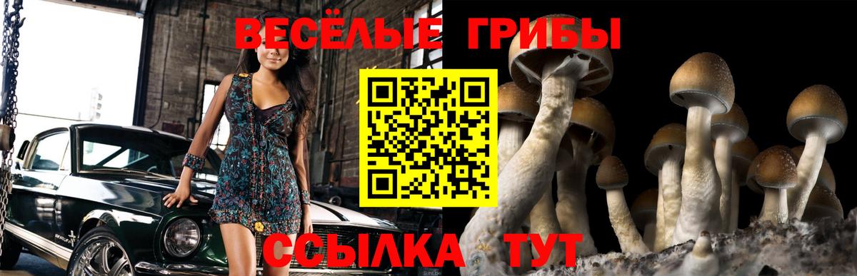 Грязи  Псилоцибиновые грибы Psilocybine cubensis  Вход с VPN 